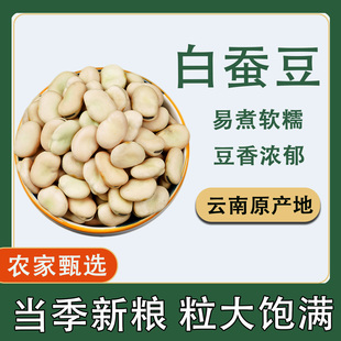 白蚕豆农家当季新货白皮生蚕豆干货罗汉豆粒大饱满易煮软糯杂粮