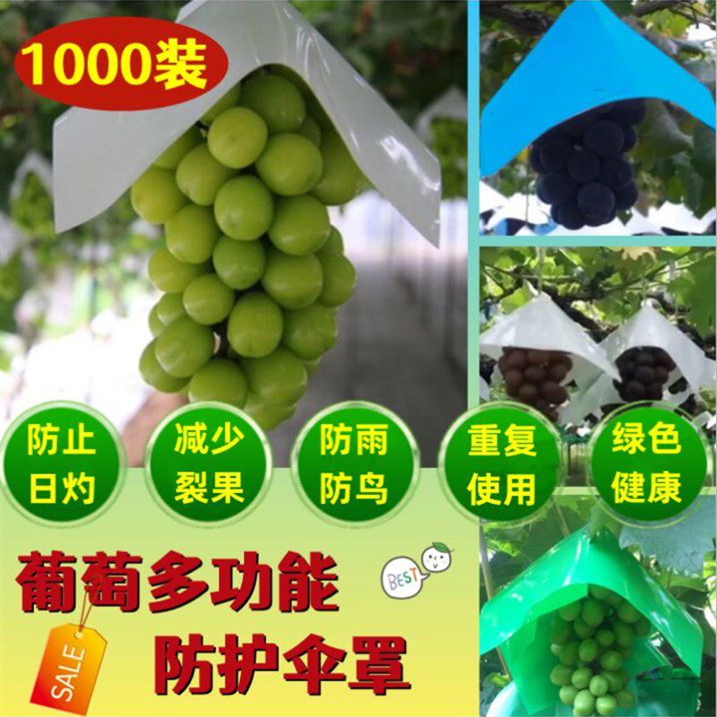 新品阳光玫瑰葡萄套袋防鸟专用袋帽防日灼防雨水防裂防晒果伞罩葡