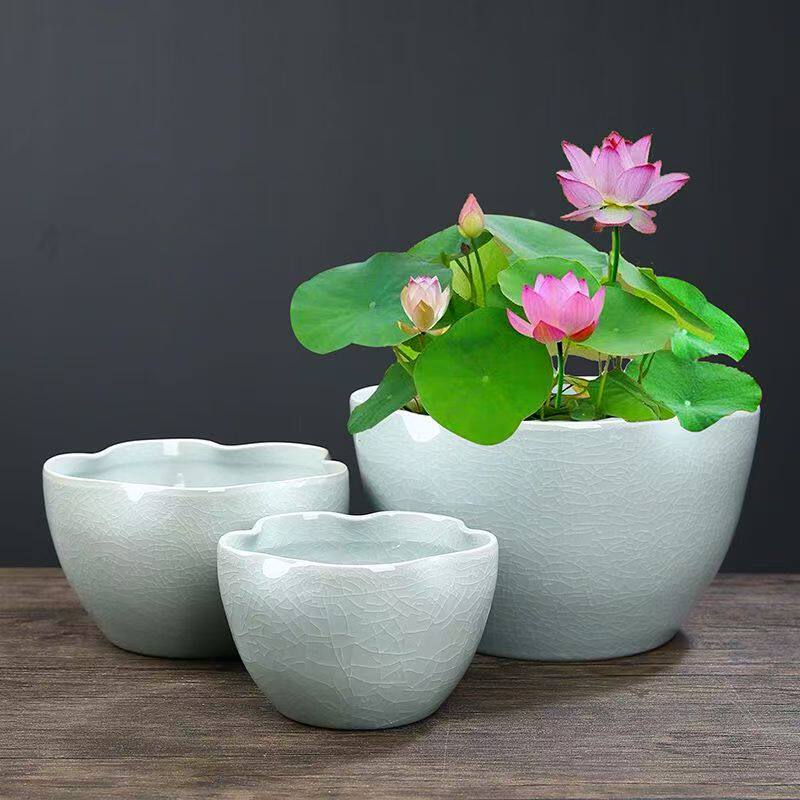 水培碗莲花盆陶瓷水仙花睡莲池盆