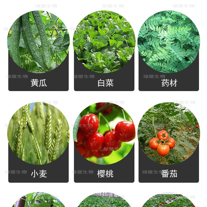 绿陇枯草芽孢杆菌 200亿根部型微生物菌剂改良土壤有机生物菌肥