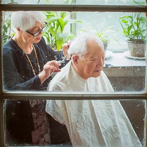 Professional Hair Scissors Steel Hair Cutting Scissors