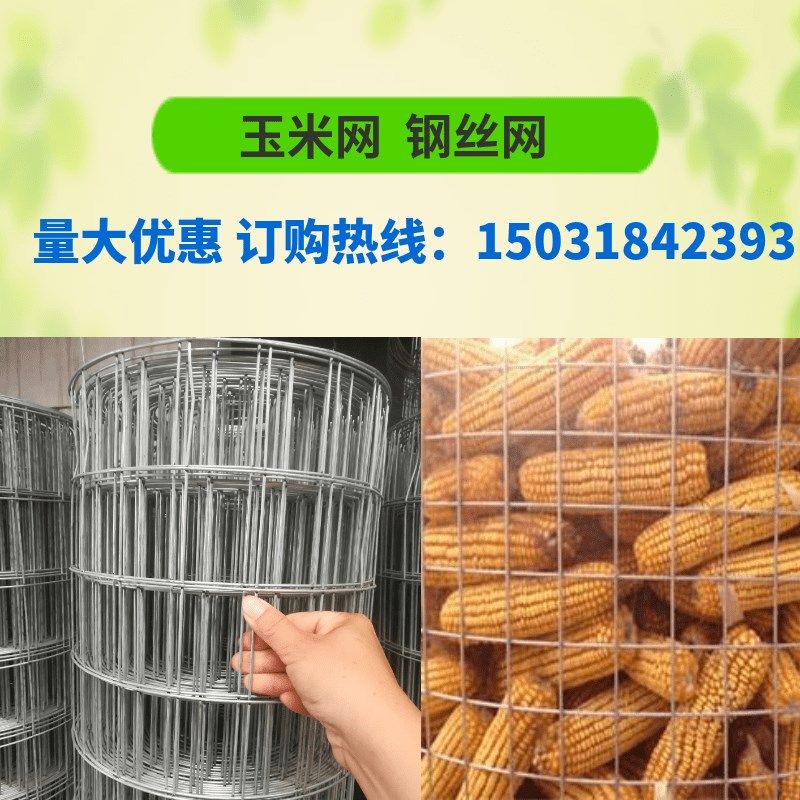 速发圈玉米网铁笼网围栏养殖网装玉米丝钢丝镀电锌焊网养鸡护栏防