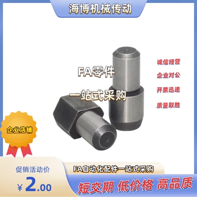 不锈钢定位销 YBR03/YBR05-D2D3D4D5D6D8D10-P3P4P5P6P8P10P12