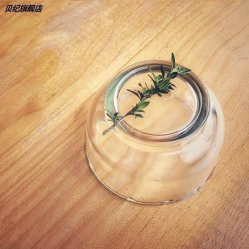 KBQ1四川泡菜坛子盖子玻璃盖子腌菜缸坛盖加厚无铅玻璃密封盖子其