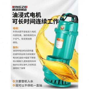 大流量抽水泵家用小型吸水泵3寸4寸潜水泵220v高扬程大功率抽水机