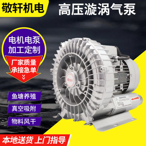 定制吹吸两用多用途高压旋涡气泵15KW/380V大功率气泵厂家货源