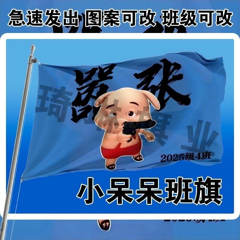嚣张小呆呆班旗户外运动会玩梗班旗毕业季班旗定制百日晢师班旗