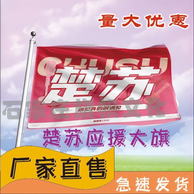 楚苏应援大旗陈楚生苏醒cp应援旗户外演唱会应援旗饭制定制定做