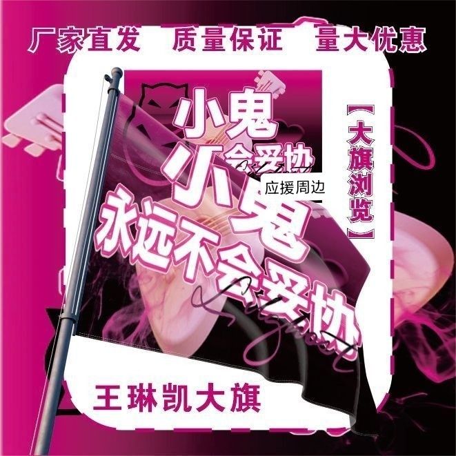 王琳凯大旗明星演唱会小鬼应援旗音乐节综艺线下应援旗定制