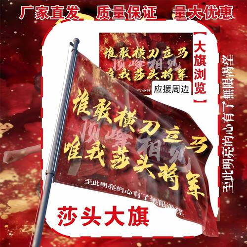 莎头应援大旗王楚钦孙颖莎大旗莎头应援旗户外比赛应援旗定制