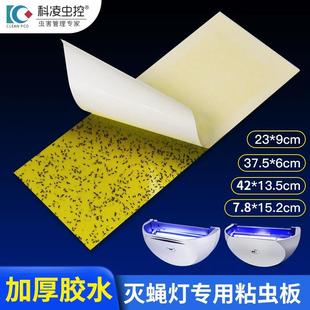 0261配套板4种尺码 灭蝇灯粘虫板蓝光胶水粘KL 科凌虫控粘捕式