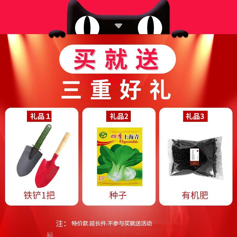 种植箱阳台种菜神器家庭蔬菜花盆楼顶盆栽特大清仓长方形塑料花箱