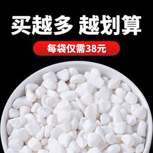 白石子造景鹅卵石庭院铺地砾石白色室内阳台颗粒天然小石头子