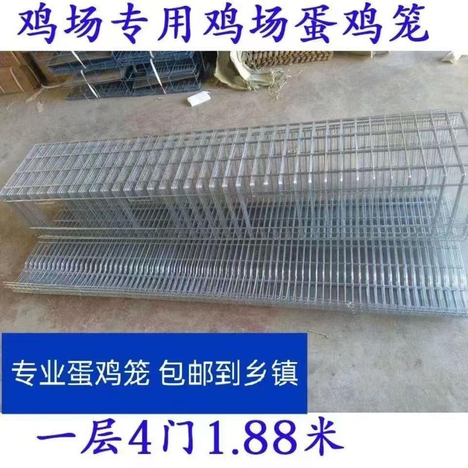 优质镀锌蛋鸡笼家用下蛋鸡笼养殖场用自动滚蛋接蛋鸡笼母鸡笼子