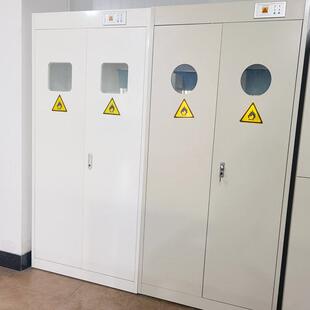 全钢防爆气瓶柜安全柜实验室氧气氩气氮气气体固定架钢瓶储存柜子