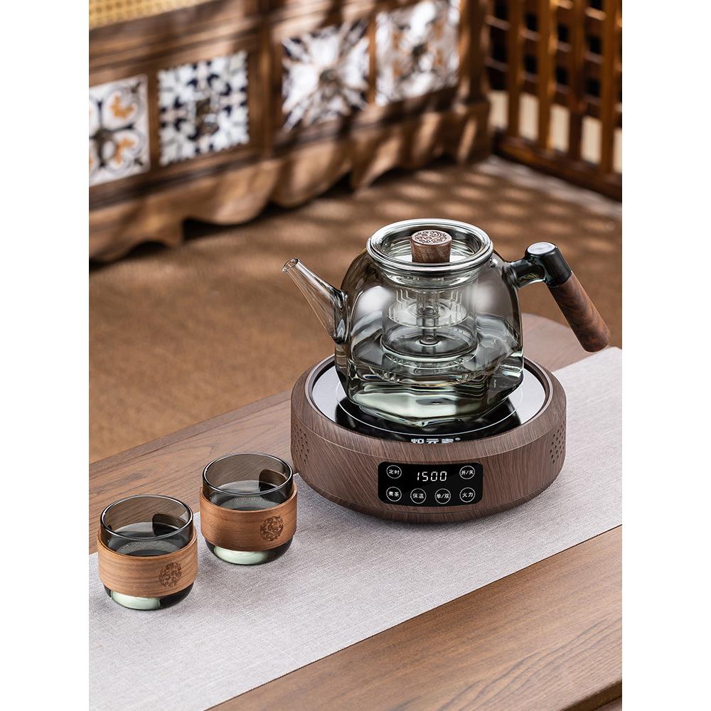 2024新款红茶全自动蒸煮健康茶壶家庭办公小保温茶具