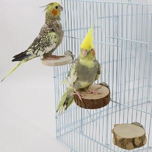 Round Wooden Squirrel Parrot Bird Perch Stand Platform Bird