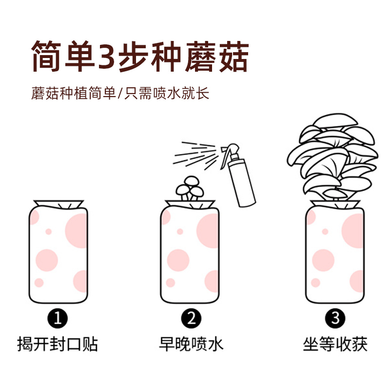 菌包蘑菇种植包香菇种植菌种家种磨菇菌菇金针菇家庭平菇室内食用