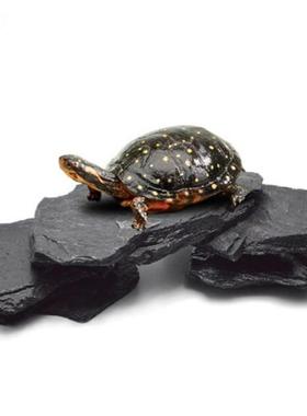 乌龟缸爬宠虫晒晒背片石岩片石台造景片岩石装饰石组合是假山石头