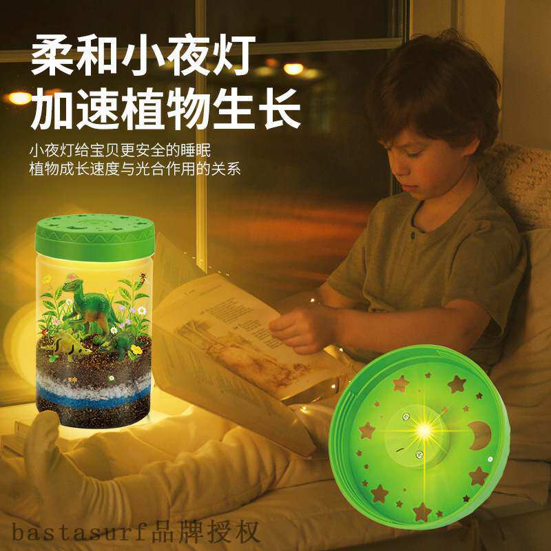 Learn Youma dinosaur landscaping ecological planting DIY sc