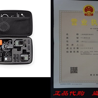 AmazonBasics Carrying Case for GoPro - Large