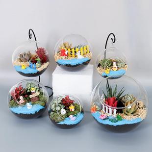 苔藓微景观diy材料包 多肉迷你植物生态瓶手工制作套装苔藓礼品