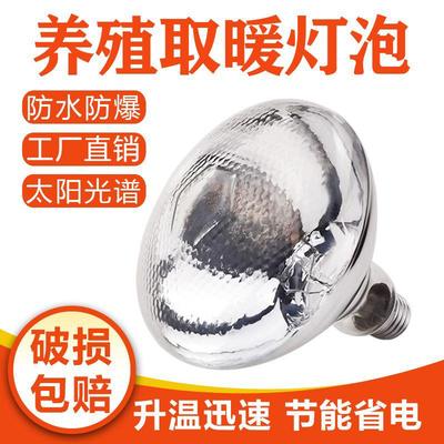 猪用保温灯养殖场专用保暖灯小鸡育雏加热烤灯仔猪舍兽用取暖灯泡