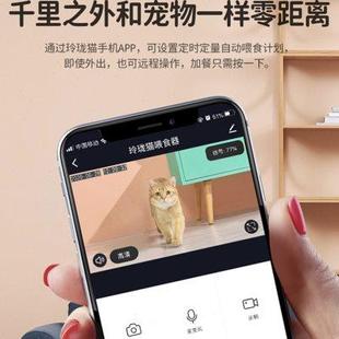 玲珑猫智能宠物自动喂食器猫咪狗狗定时定量投食器猫狗自动喂食机