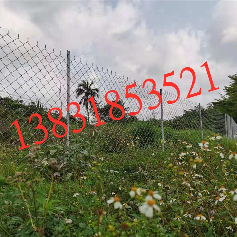 海南镀锌铁丝网封边勾花网防护网果园防盗钢丝菱形围栏围牛羊网