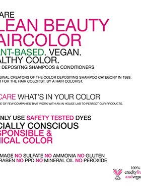 Celeb Luxury Leave-In Vegan Professional Hair Styler  Condit