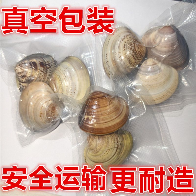 真空包装蛤蜊油贝壳油老式润面油棒棒油护手霜精品老国货嘎啦油上