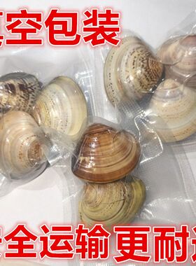 真空包装蛤蜊油贝壳油老式润面油棒棒油护手霜精品老国货嘎啦油上