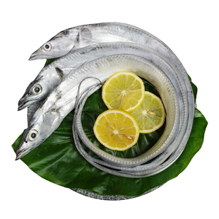 舟山小眼带鱼特大东海整条鲜活冷冻新鲜正宗野生海钓国产油带刀鱼