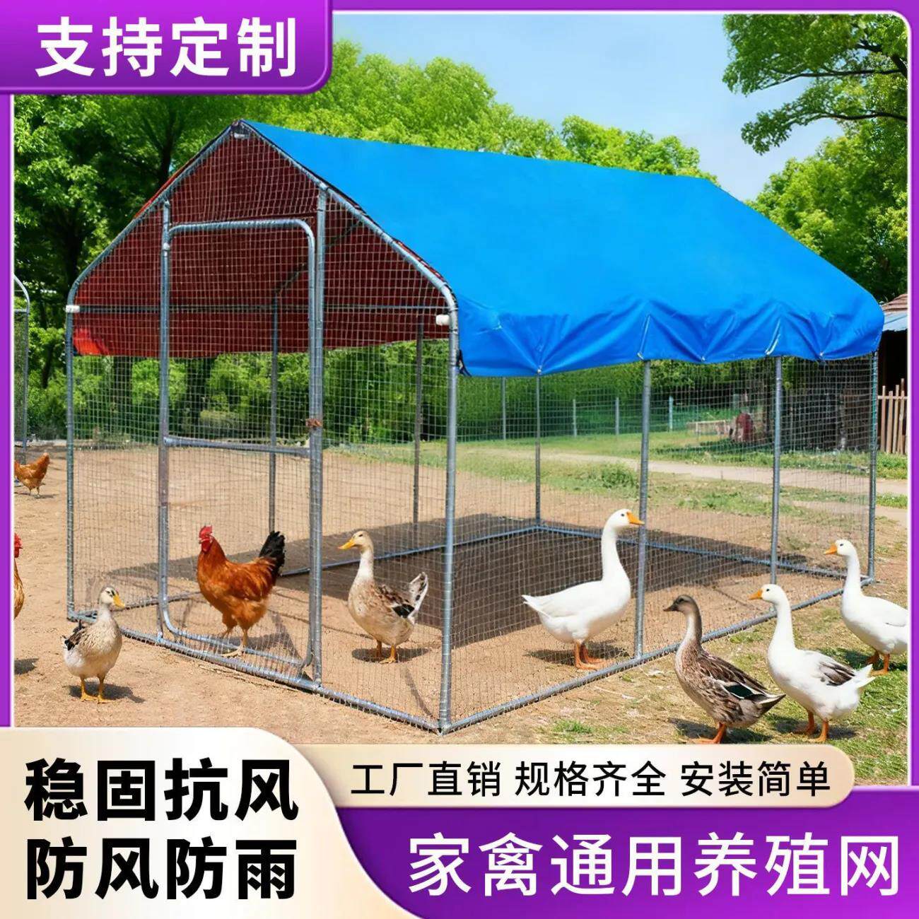 户外养鸡棚鸡舍搭建遮风挡雨加密饲养家禽养殖新款鸡笼围栏网棚架