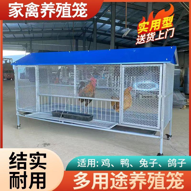 室外尖顶鸡笼子饲养笼防鼠黄鼠狼防雨加密加厚鸭鹅兔芦丁鸡养殖笼