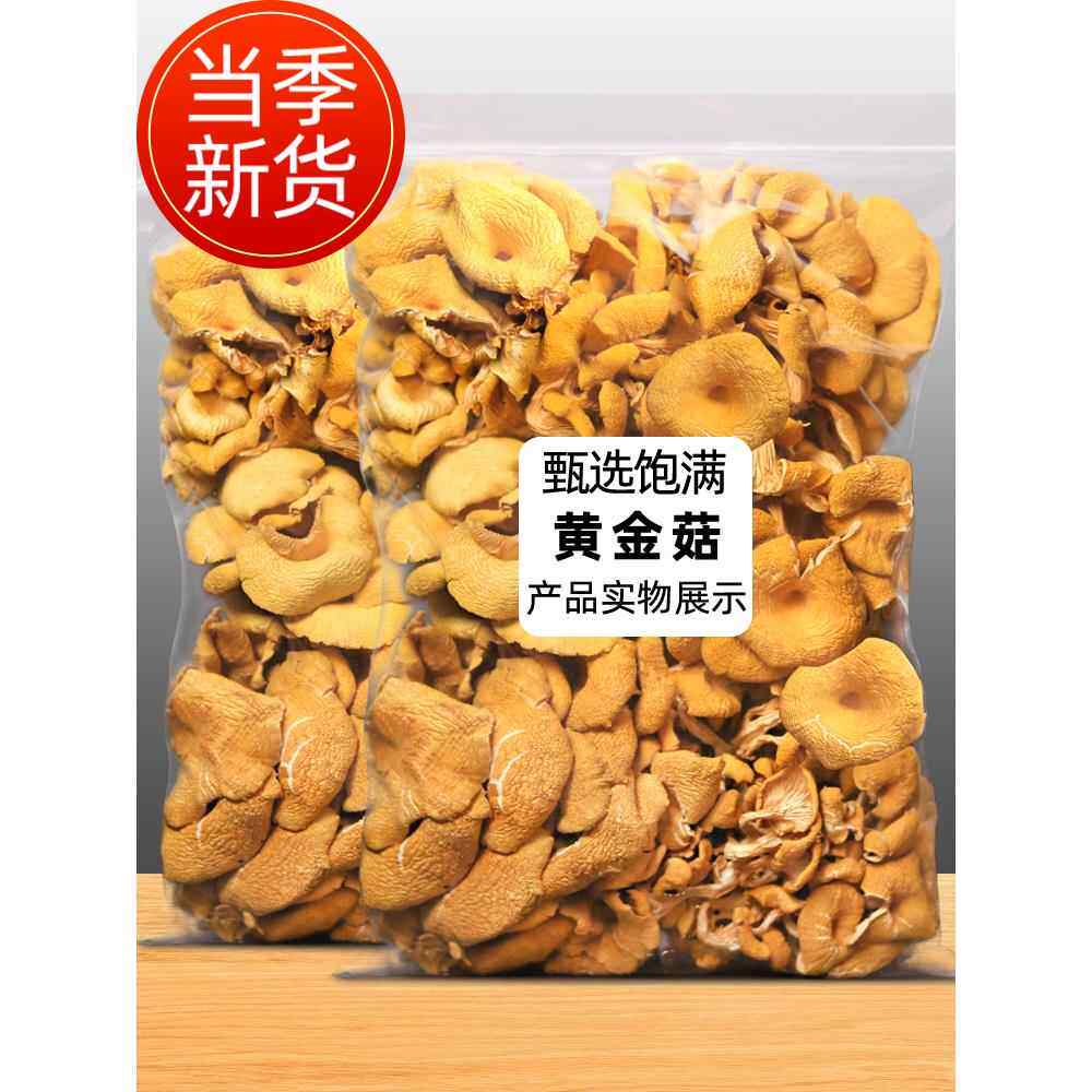 云南特产鸡油菌黄金菇干货500g干蘑菇菌菇野生菌黄行菇蘑黄丝菌