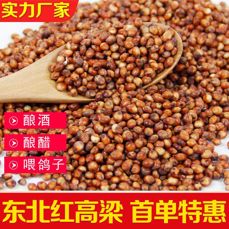 小麦新红高粱20斤带皮高粱10kg酿酒喂鸽子鸽粮食酿醋去壳5斤鸡鸭