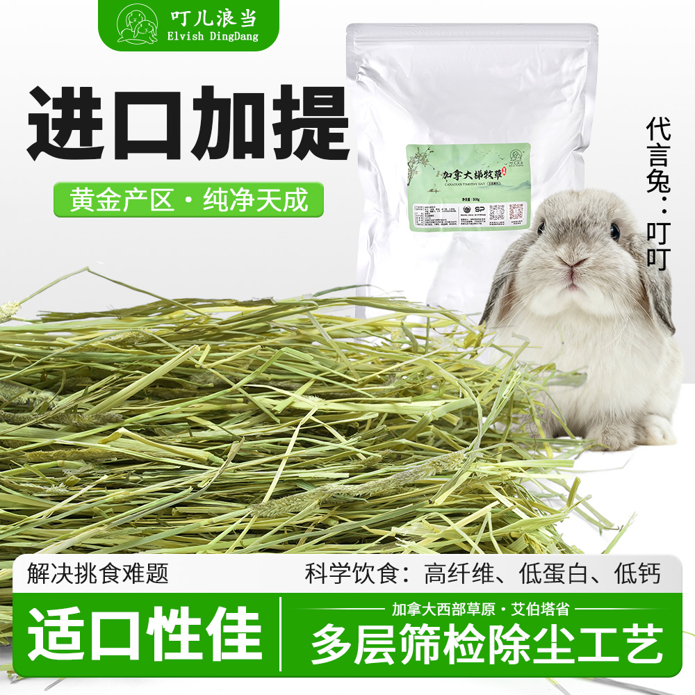 【叮儿浪当】赛级SP加提一番晒干