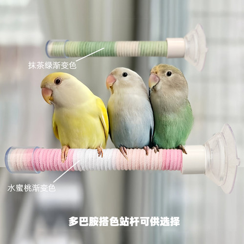 鹦鹉麻绳耐啃咬吸盘站架