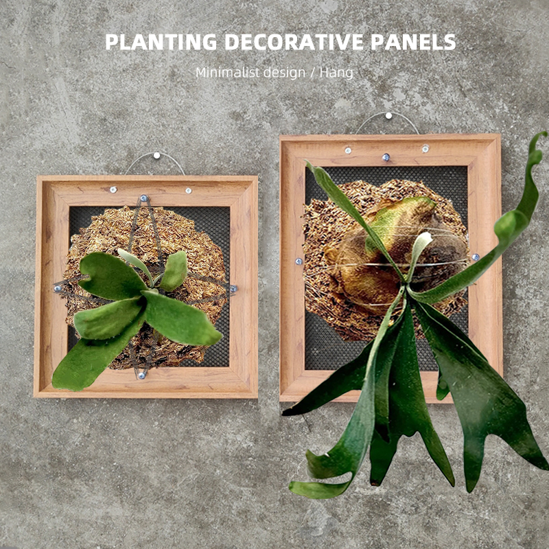 绿植上墙透气种植装饰板