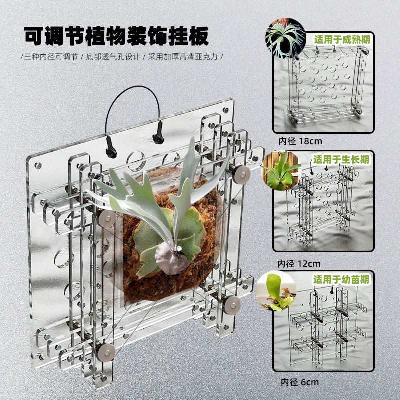 可调节内径蕨类兰花亚克力装饰板图片