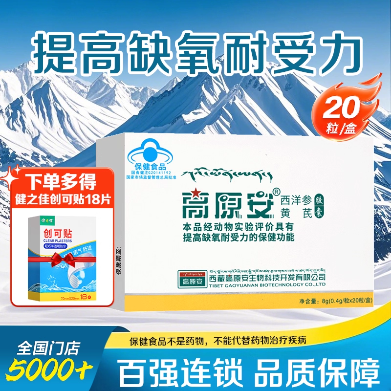 高原安西洋参黄芪胶囊20粒提高缺氧耐受力胶囊20粒旗舰店正品