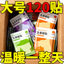 草本热敷恒温暖腰艾草腰暖身贴暖宝宝贴腰部防护用品 加量42g