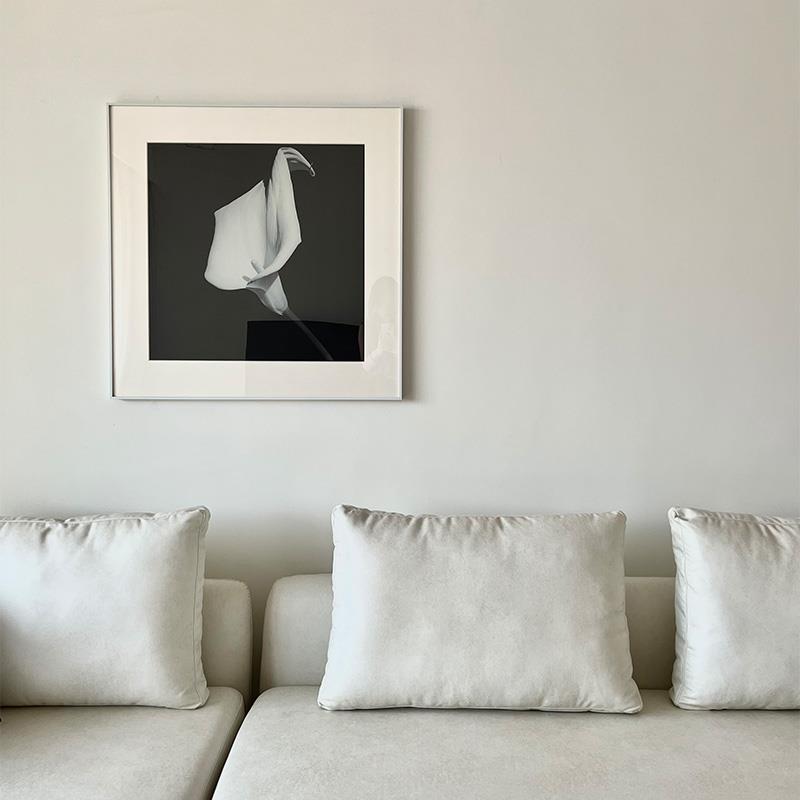 NONE ART马蹄莲黑白摄影极简高级静物植物装饰画设计师样板间挂画