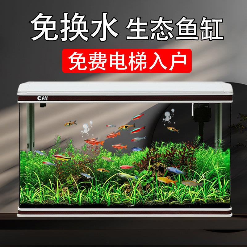 佳美鱼缸家用客厅中型生态金鱼缸桌面玻璃长方形懒人免换水水族箱