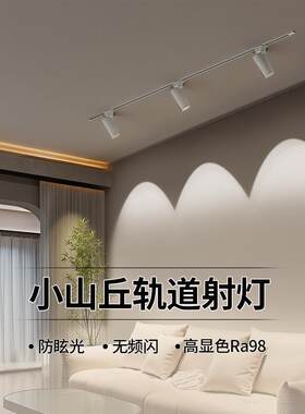 轨道灯聚光灯表面安装山家庭客厅磁性2024新导轨Led灯长条大气灯