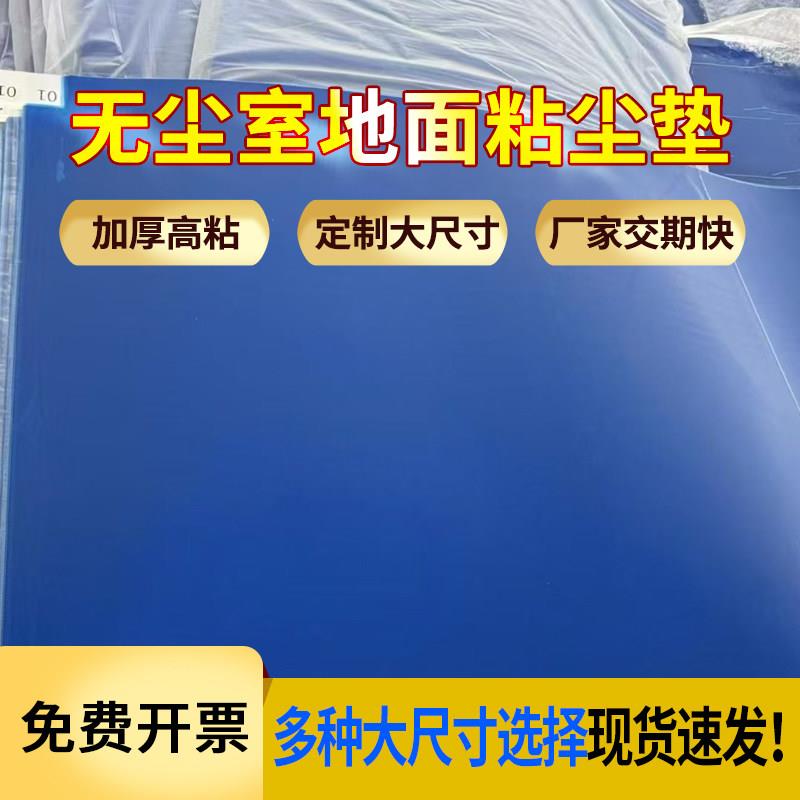 无尘车间粘尘垫大尺寸地面粘灰脚垫蓝色一次性风淋室可撕式除尘纸