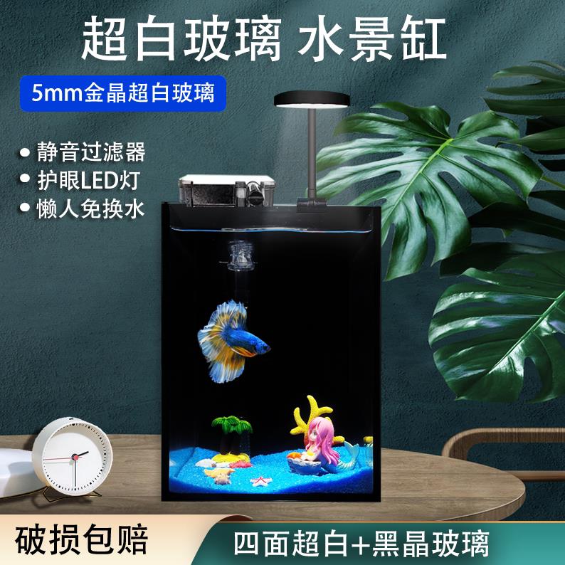 鱼缸小型斗鱼专用缸桌面微景观迷你生态金晶超白玻璃懒人黑背鱼缸