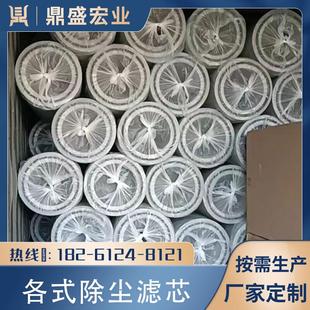 抛丸机滤芯配件除尘滤芯工业滤芯除尘器阻燃覆膜防静电耐高温滤筒