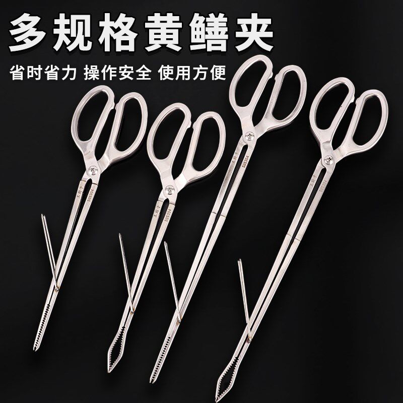速发全不40锈钢黄鳝夹 防侧滑黄鳝钳 泥鳅螃夹蟹夹钳垃圾夹赶海工